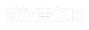 武汉青年网